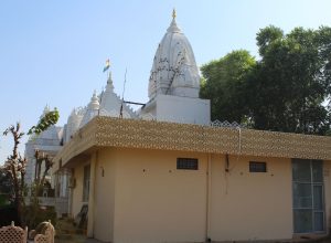Padmavati Dham, Tijara